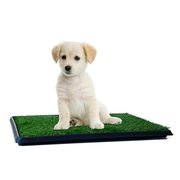 Pet Adobe Pet Adobe Puppy Artificial Grass Potty Trainer Mat, Indoor/Outdoor Bathroom Rug for Small Dogs, Cats 275624VME